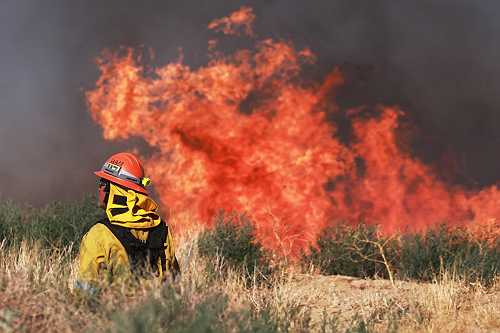 Exclusive: FireDome launches projectiles filled with fire retardants to stop wildfires | TechCrunch