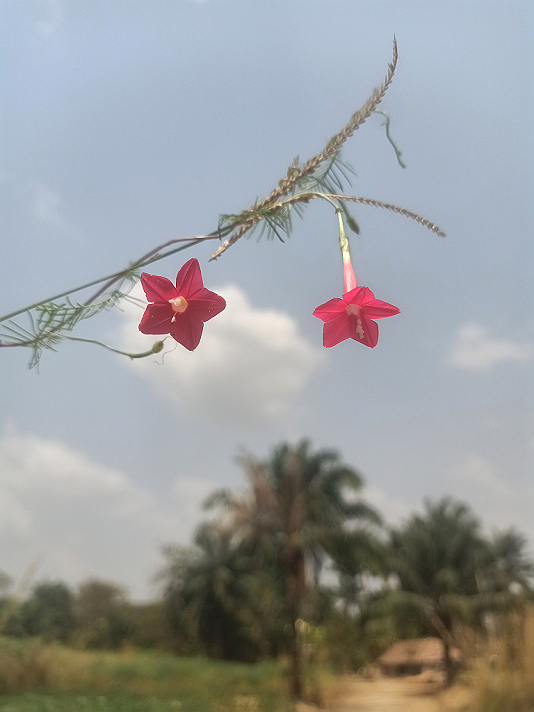 #Featured