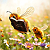 Essay: Holy Pollen: A Triptych of Insect Evangelists