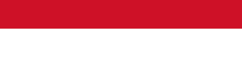 Indonesia Networking Hub